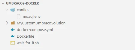 Umbraco 9 - Docker Filesystem